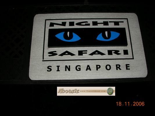 �������� ������ ���� SINNightSafari 1.JPG
